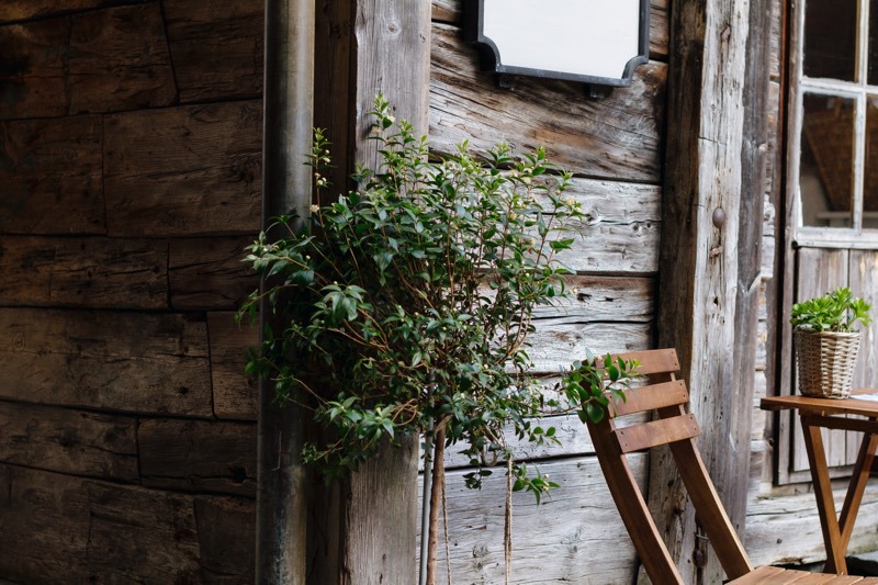 Gartenhaus aus Holz mit Blumen und Gartenstuehlen